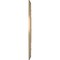 Ekena Millwork Baltimore PVC Medallion (Canopies up to 6 1/2"), 16"OD x 3 1/2"ID x 1"P, Metallic Champagne Mist CMP16BAECE - alternate 4